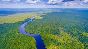 Deciphering the Amazon’s Shift: From Carbon Sink to Climate Catalyst