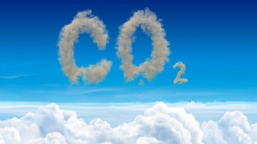 370 Million Tons – Landmark Study Uncovers New Source of Carbon Emissions