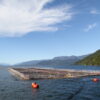 New environmental rules for Chile’s protected areas rile the salmon industry