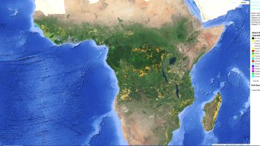 Decoding the Secrets of Deforested Lands Across Africa With Satellite Precision