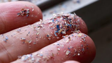 Plastic Planet: The Unseen Invasion of Microplastics in Our Lives