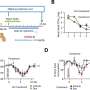 COVID-19: A potential treatment for loss of smell