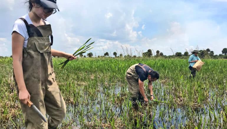 Can grasslands and wetlands coexist with more agriculture?