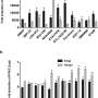 New class of antivirals works against broad range of RNA viruses including SARS-CoV-2