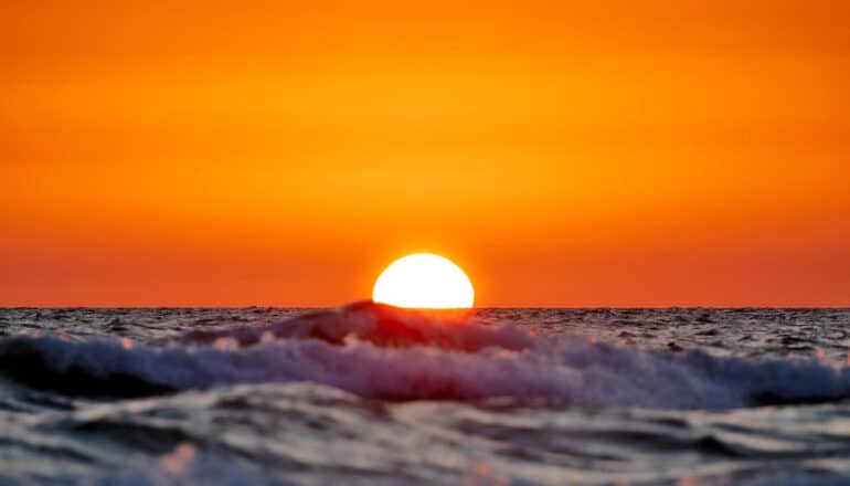 Gulf of Mexico seagrass is retreating as sea levels rise