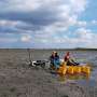 Stronger storms free more nutrients from mud flats, finds researcher