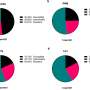 Using phages to eradicate Pseudomonas aeruginosa infections