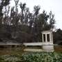 Chile’s biggest botanical garden like ‘smoker’s lung’ after wildfire