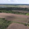 Bolivia’s El Curichi Las Garzas protected area taken over by land-grabbers