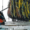 Stalemate: WTO talks again fail to end overfishing subsidies