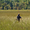 Culture and conservation thrive as Great Lakes tribes bring back native wild rice