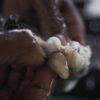 In Raja Ampat, pearl farming balances business and ecological sustainability