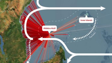 Hidden Coral Superhighway Discovered in the Indian Ocean