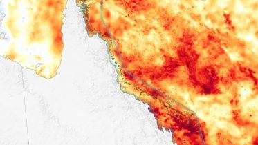 Bleached Out: Heat Stress Cooks Great Barrier Reef