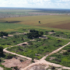 Deforestation from soy shows no sign of stopping in Cerrado, report says