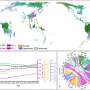 A green revolution: How forests are changing and what it means for the planet