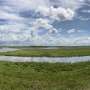 Carbon credits would enable restoration of UK saltmarshes, say experts