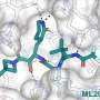 Drug design at the atomic level to thwart COVID-19