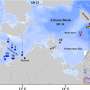 How eutrophication and climate change alter food webs in the Baltic Sea