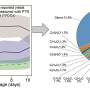 Uncovering the dominant contribution of intermediate volatility compounds to biomass-burning organic aerosols