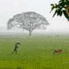 As lightning strike fatalities increase, Bangladesh still has no reliable preventive measures