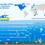 Study of 34 countries finds ocean protection delivers overlooked economic benefits to fishing, tourism
