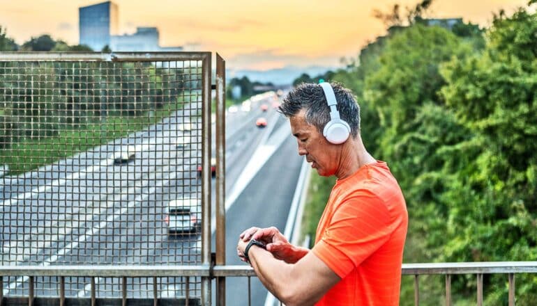 Trees near highways cut air pollution from traffic