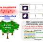Researchers demonstrate that forests trap airborne microplastics, acting as terrestrial sinks