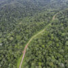 Unseen and unregulated: ‘Ghost’ roads carve up Asia-Pacific tropical forests