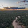 Report links H&M and Zara to major environmental damage in biodiverse Cerrado