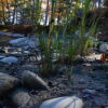 U.S. East Coast adopts ‘living shorelines’ approach to keep rising seas at bay