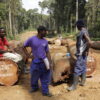 Liberia puts a wartime logger in charge of its forests