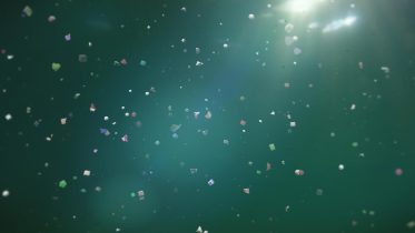 Antarctic Pollution Crisis: Microplastics Found To Be a Greater Threat Than Known