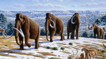 Ice Age Discoveries Cool Down Climate Change Alarms