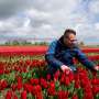 Climate change, Brexit threaten to wilt Dutch tulips