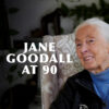 Jane Goodall at 90: On fame, hope, and empathy