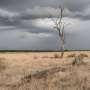 Zimbabwe declares El Nino drought a national disaster