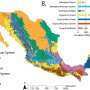 Researchers develop forest extent map for Mexico