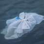 Ocean floor a ‘reservoir’ of plastic pollution, study finds
