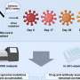 Researchers predict real-world SARS-CoV-2 evolution by monitoring mutations of viral isolates