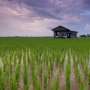 Protecting drinking water on prairies from an emerging pollutant