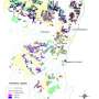 Urgent need for logging loophole remedy within proposed Great Koala National Park