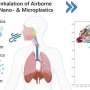 Every breath you take: Following the journey of inhaled plastic particle pollution