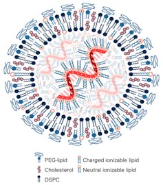 Brain cancer in children is notoriously hard to treat – a new mRNA cancer vaccine triggers an attack from within