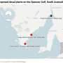 More desalination is coming to Australia’s driest states—but super-salty outflows could trash ecosystems and fisheries