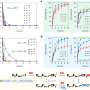 New ‘forever chemical’ cleanup strategy discovered