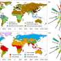 Researchers identify nutrient enrichment driven by canopy rainfall redistribution