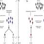 Study reveals how COVID-19 vaccines prevent severe disease