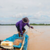 On heavily dammed Mekong, tracking study tries to find where the fish are going