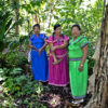 Indigenous midwives in Panama strive to preserve traditional medicine for maternal health